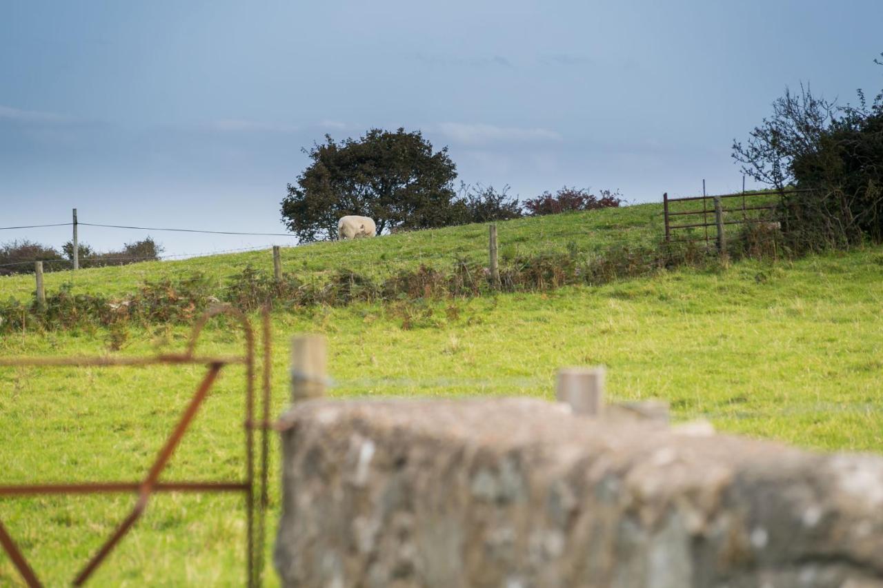 Vila Tyn Lon Moelfre Exteriér fotografie