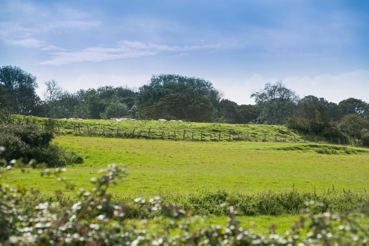 Vila Tyn Lon Moelfre Exteriér fotografie